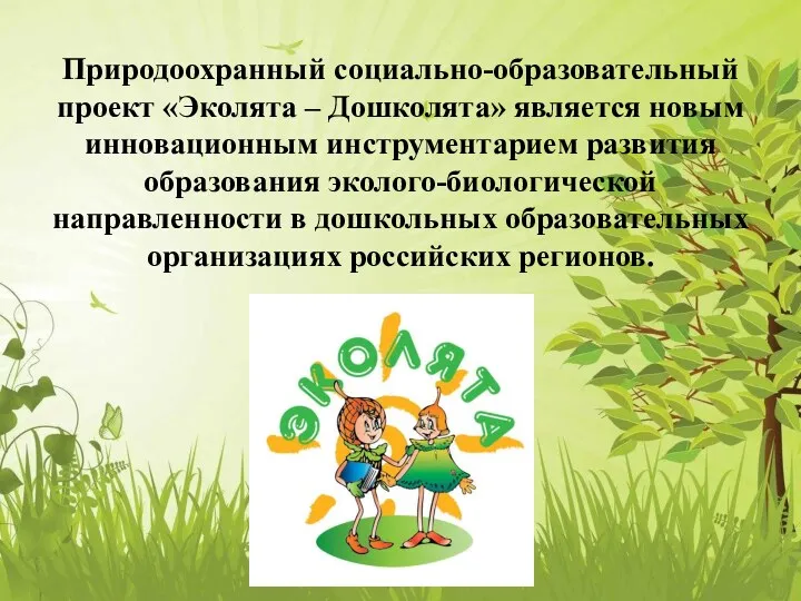 Природоохранный социально-образовательный проект «Эколята – Дошколята» является новым инновационным инструментарием