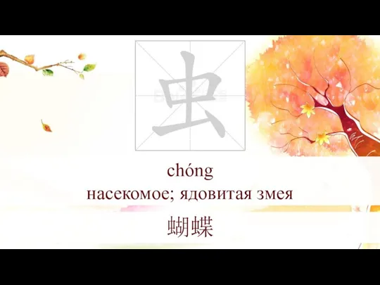 chóng насекомое; ядовитая змея 蝴蝶