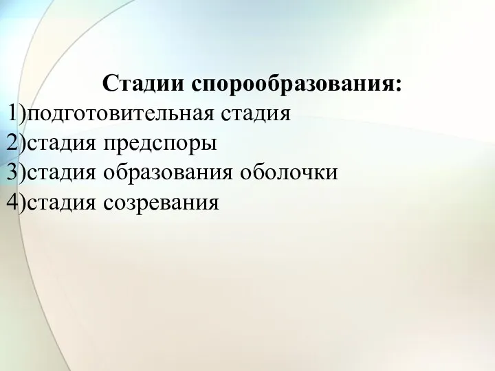 Стадии спорообразования: подготовительная стадия стадия предспоры стадия образования оболочки стадия созревания