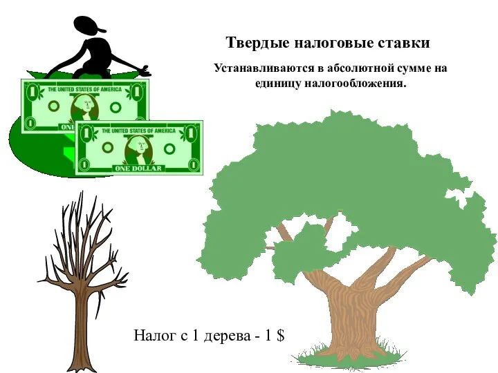Твердые налоговые ставки Налог с 1 дерева - 1 $