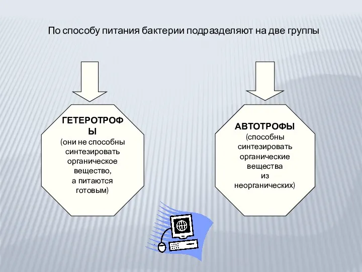 ГЕТЕРОТРОФЫ (они не способны синтезировать органическое вещество, а питаются готовым)