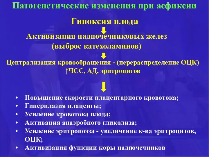 Патогенетические изменения при асфиксии Гипоксия плода Централизация кровообращения - (перераспределение