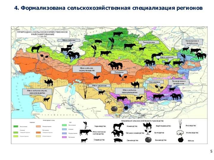 4. Формализована сельскохозяйственная специализация регионов