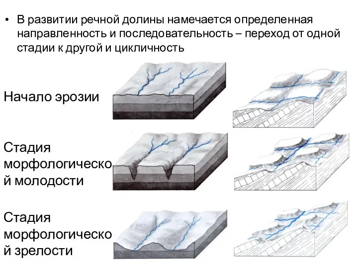 В развитии речной долины намечается определенная направленность и последовательность –