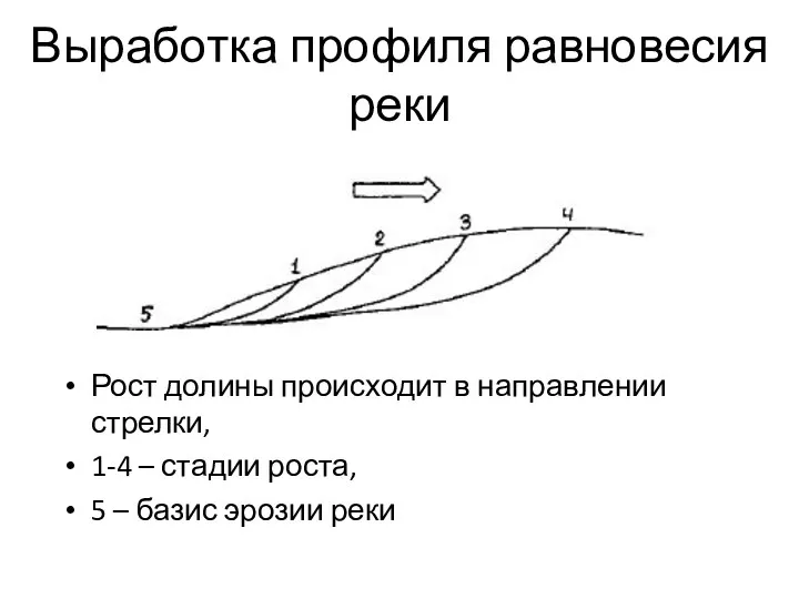 Выработка профиля равновесия реки Рост долины происходит в направлении стрелки,