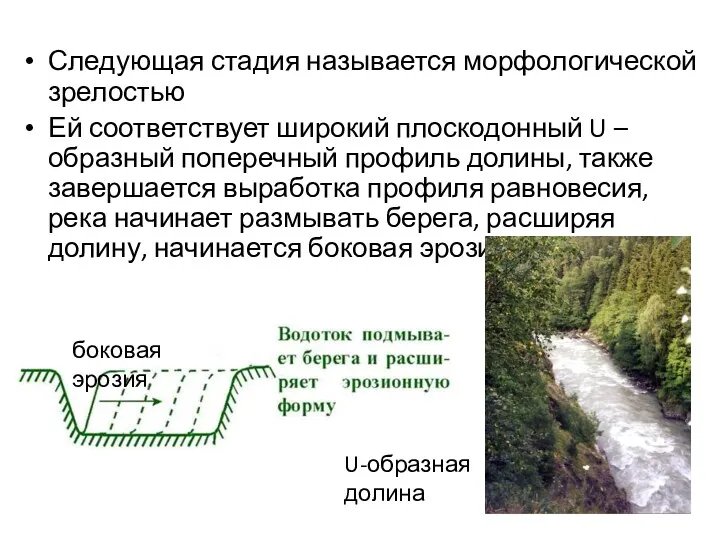 Следующая стадия называется морфологической зрелостью Ей соответствует широкий плоскодонный U