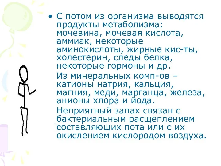 С потом из организма выводятся продукты метаболизма: мочевина, мочевая кислота,