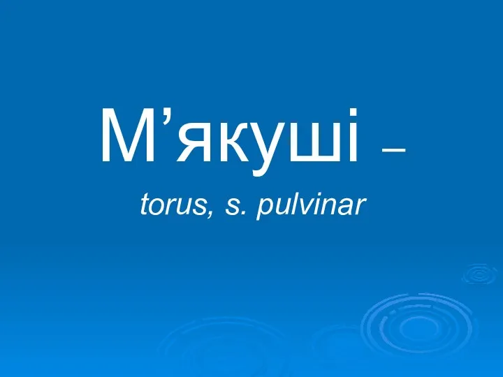 М’якуші – torus, s. pulvinar