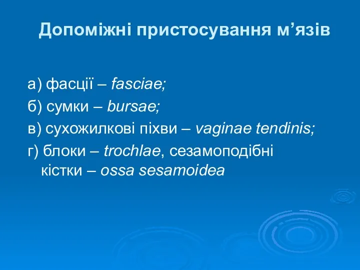 Допоміжні пристосування м’язів а) фасції – fasciae; б) сумки –