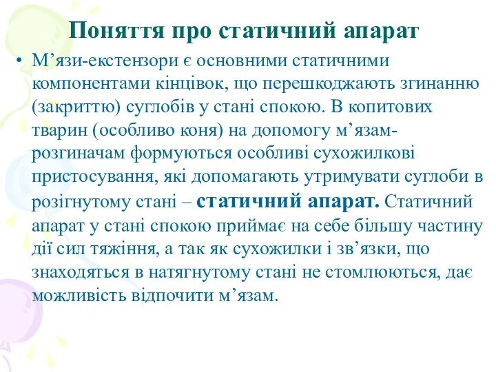 Поняття про статичний апарат М’язи-екстензори є основними статичними компонентами кінцівок,