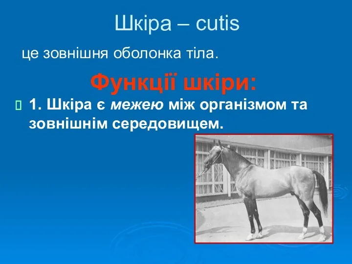 Шкіра – cutis це зовнішня оболонка тіла. Функції шкіри: 1.