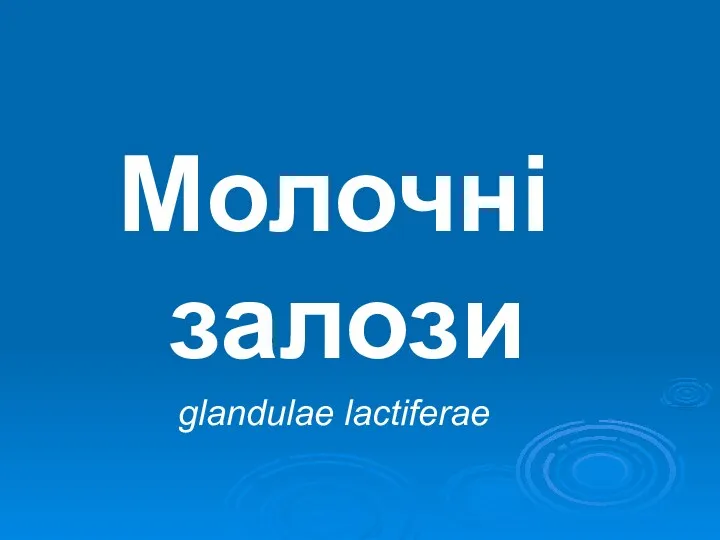 Молочні залози glandulae lactiferae