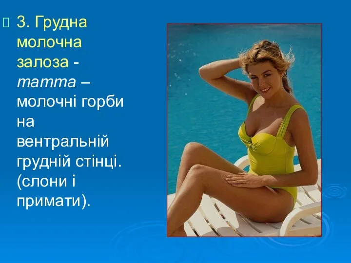 3. Грудна молочна залоза - mamma –молочні горби на вентральній грудній стінці. (слони і примати).