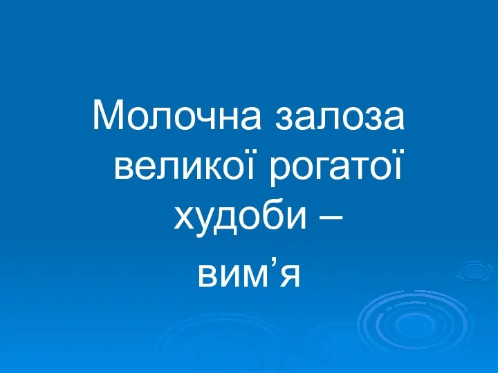 Молочна залоза великої рогатої худоби – вим’я