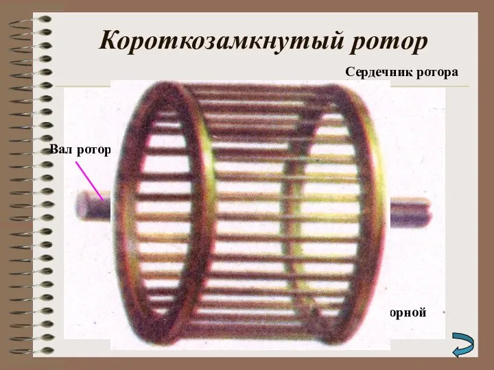 Короткозамкнутый ротор Сердечник ротора Вал ротора Пазы с роторной обмоткой
