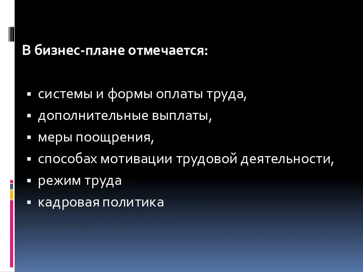 В бизнес-плане отмечается: системы и формы оплаты труда, дополнительные выплаты,