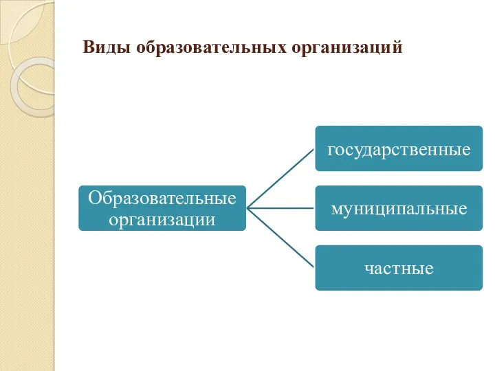 Виды образовательных организаций