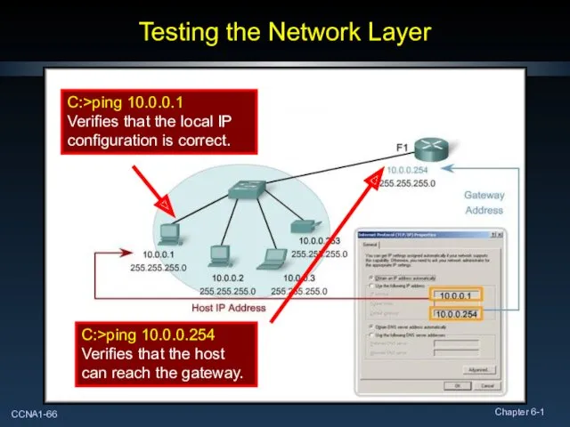 Testing the Network Layer