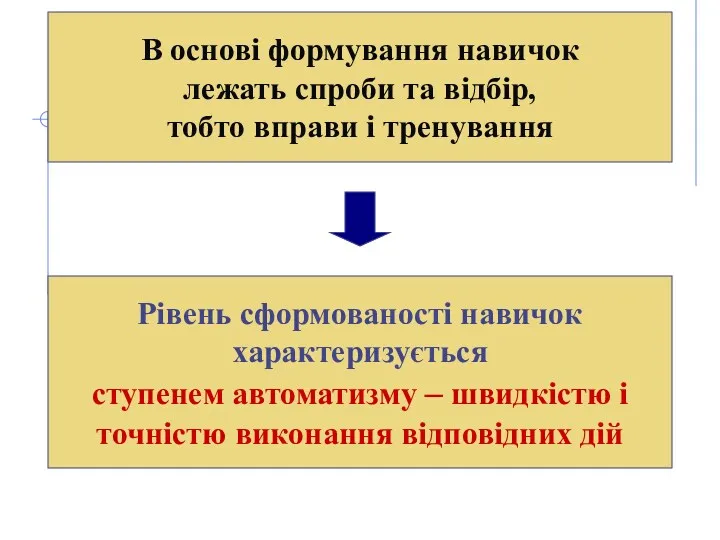 В основі формування навичок лежать спроби та відбір, тобто вправи і тренування Рівень