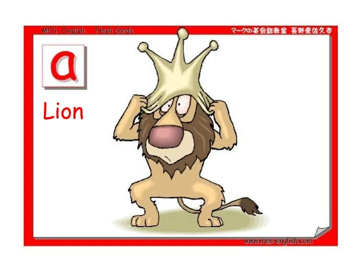 Lion