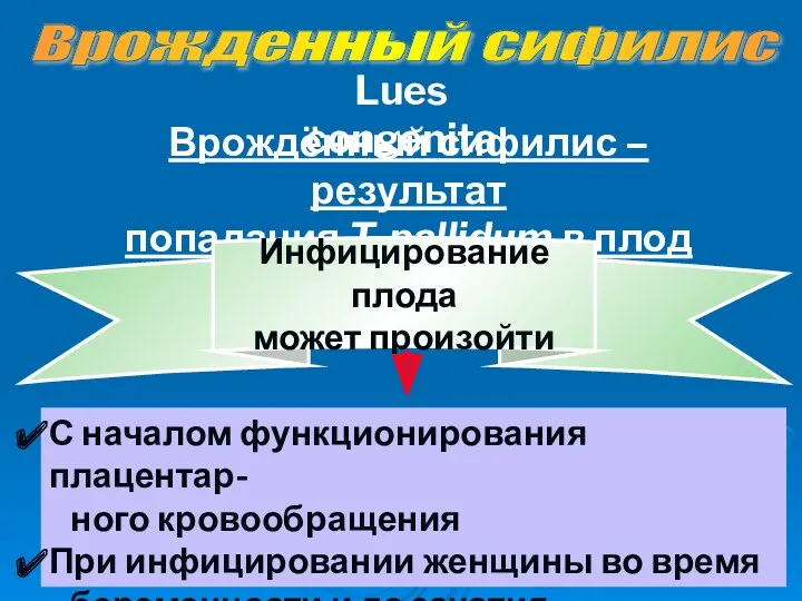 Lues congenita Врождённый сифилис – результат попадания T. pallidum в плод Инфицирование плода