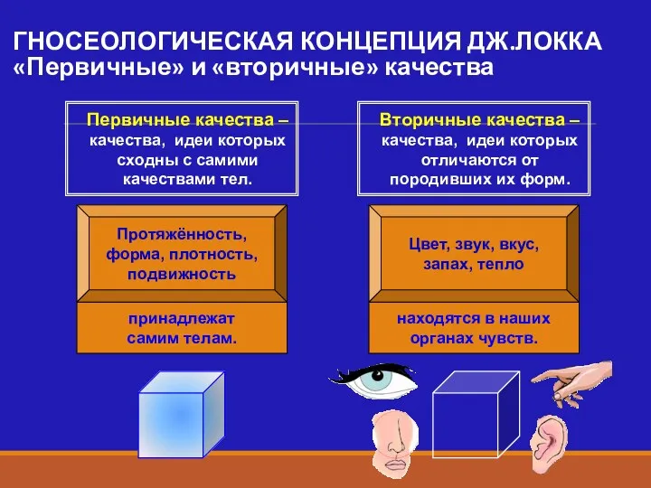 Протяжённость, форма, плотность, подвижность Цвет, звук, вкус, запах, тепло ГНОСЕОЛОГИЧЕСКАЯ