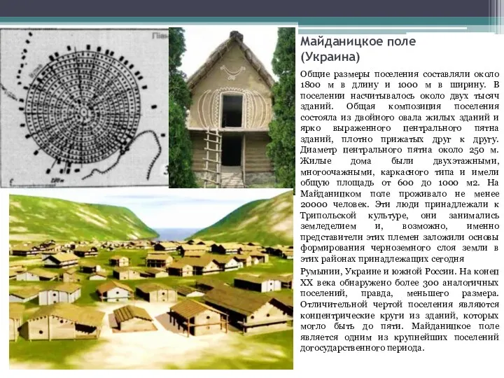 Майданицкое поле (Украина) Общие размеры поселения составляли около 1800 м в длину и