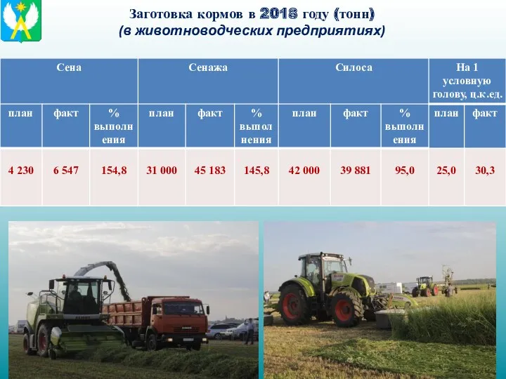 Заготовка кормов в 2018 году (тонн) (в животноводческих предприятиях)