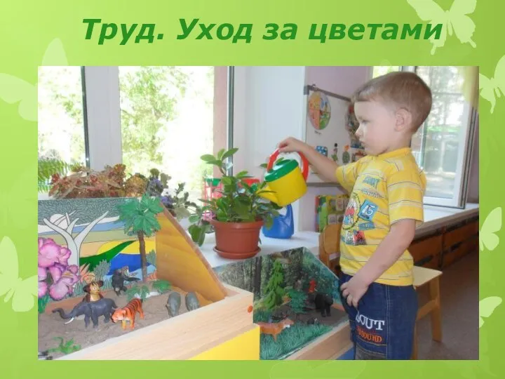 Труд. Уход за цветами