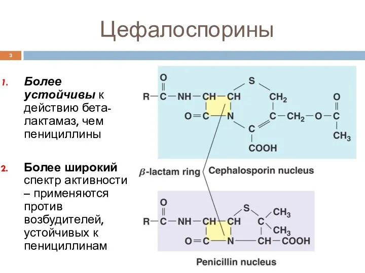 Цефалоспорины Более устойчивы к действию бета-лактамаз, чем пенициллины Более широкий