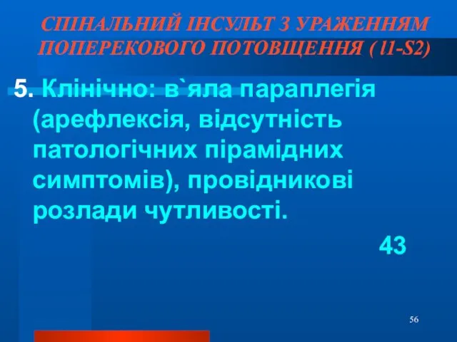 СПІНАЛЬНИЙ ІНСУЛЬТ З УРАЖЕННЯМ ПОПЕРЕКОВОГО ПОТОВЩЕННЯ ( l1-S2) 5. Клінічно: