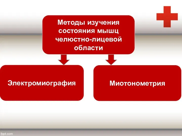 Методы изучения состояния мышц челюстно-лицевой области Электромиография Миотонометрия