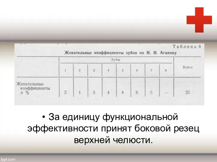 За единицу функциональной эффективности принят боковой резец верхней челюсти.