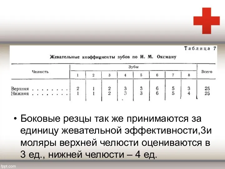 Боковые резцы так же принимаются за единицу жевательной эффективности,3и моляры