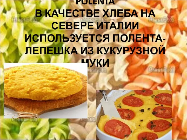 POLENTA В КАЧЕСТВЕ ХЛЕБА НА СЕВЕРЕ ИТАЛИИ ИСПОЛЬЗУЕТСЯ ПОЛЕНТА-ЛЕПЕШКА ИЗ КУКУРУЗНОЙ МУКИ