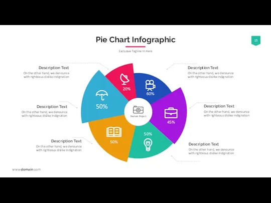 Pie Chart Infographic Exclusive Tagline In Here Description Text On