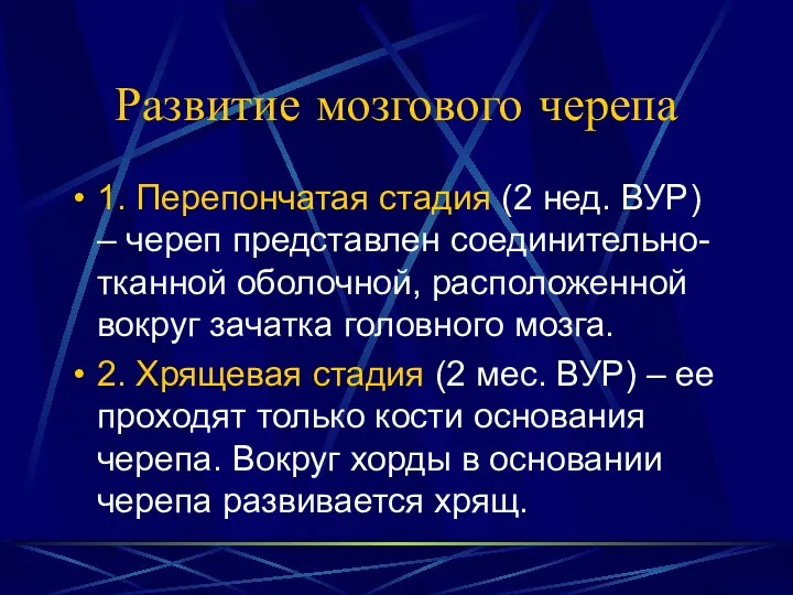 Развитие мозгового черепа 1. Перепончатая стадия (2 нед. ВУР) –