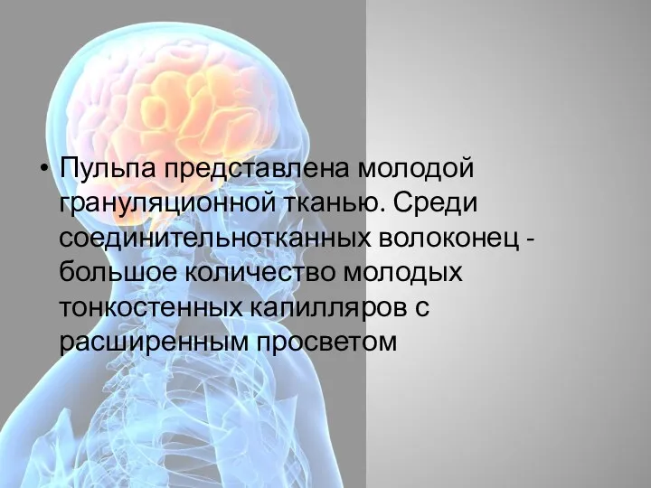 Пульпа представлена молодой грануляционной тканью. Среди соединительнотканных волоконец - большое