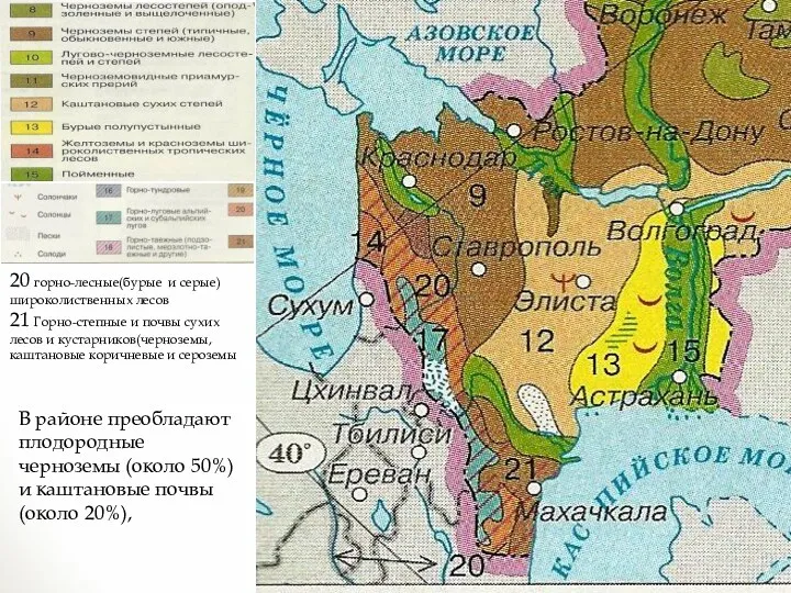 20 горно-лесные(бурые и серые) широколиственных лесов 21 Горно-степные и почвы