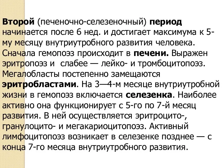 Второй (печеночно-селезеночный) период начинается после 6 нед. и достигает максимума к 5-му месяцу