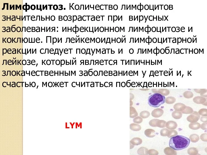 Лимфоцитоз. Количество лимфоцитов значительно возрастает при вирусных заболевания: инфекционном лимфоцитозе и коклюше. При