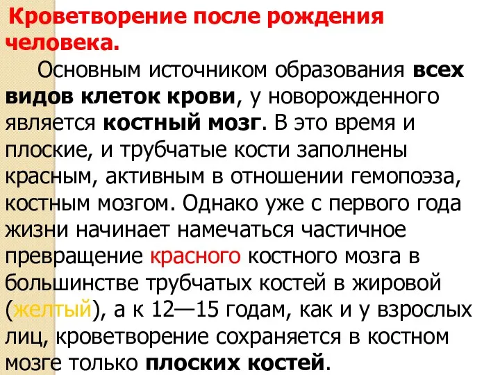 Кроветворение после рождения человека. Основным источником образования всех видов клеток крови, у новорожденного