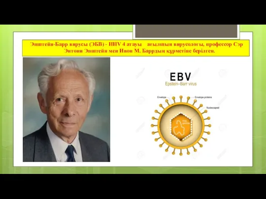 Эпштейн-Барр вирусы (ЭБВ) - ННV 4 атауы ағылшын вирусологы, профессор Сэр Энтони Эпштейн