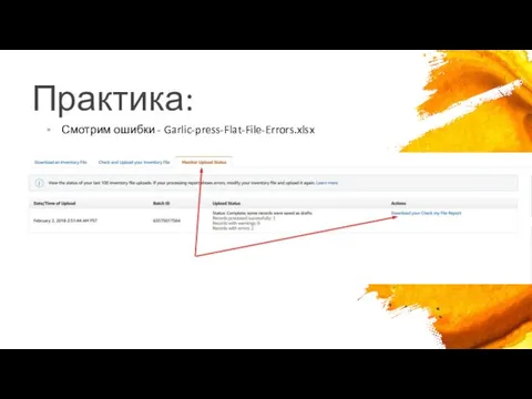 Практика: Смотрим ошибки - Garlic-press-Flat-File-Errors.xlsx