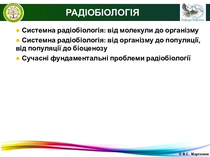 © В.С. Мартинюк РАДІОБІОЛОГІЯ ● Системна радіобіологія: від молекули до