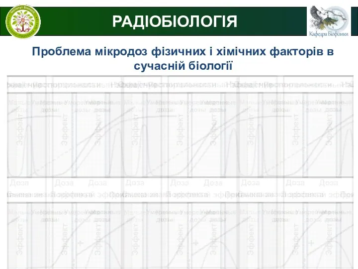 РАДІОБІОЛОГІЯ Проблема мікродоз фізичних і хімічних факторів в сучасній біології