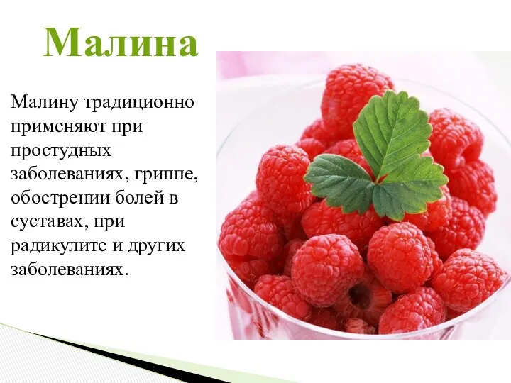 Малину традиционно применяют при простудных заболеваниях, гриппе, обострении болей в суставах, при радикулите