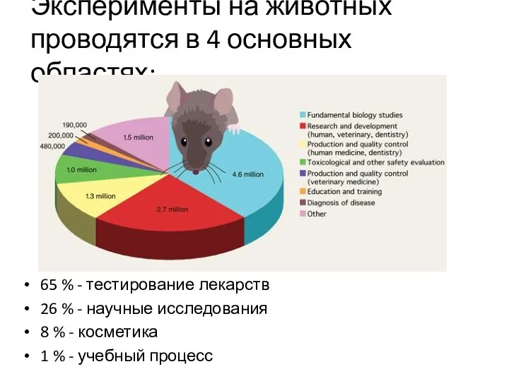 Эксперименты на животных проводятся в 4 основных областях: 65 %