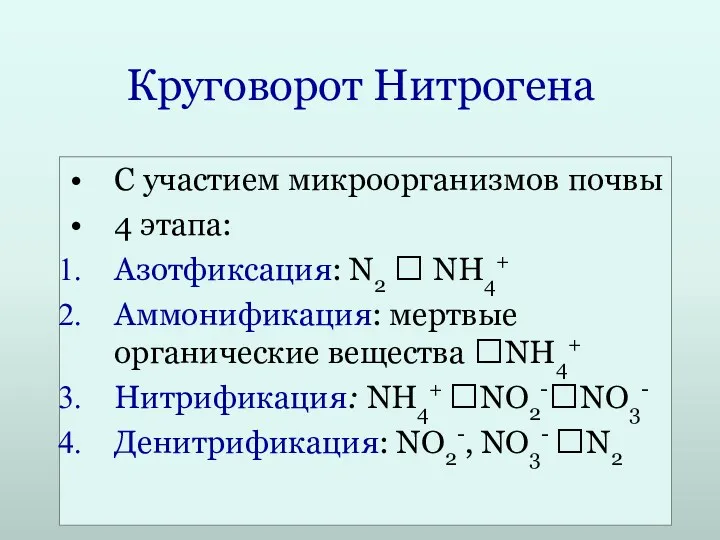 Круговорот Нитрогена С участием микроорганизмов почвы 4 этапа: Азотфиксация: N2 ? NH4+ Аммонификация: