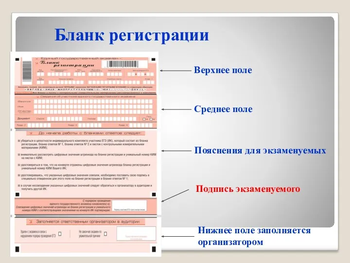 Бланк регистрации Верхнее поле Среднее поле Пояснения для экзаменуемых Нижнее поле заполняется организатором Подпись экзаменуемого